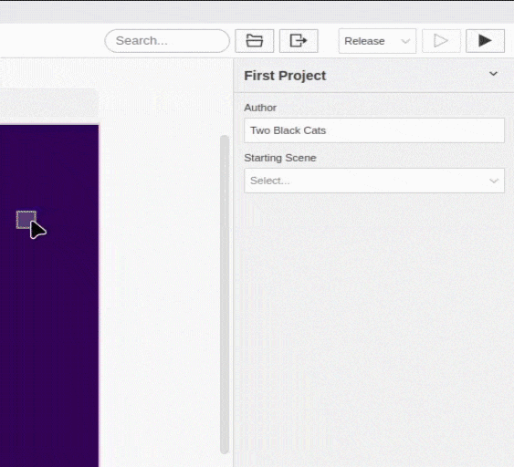 Run Project